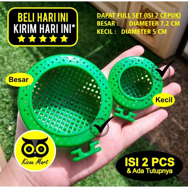 Sepasang cepuk kroto dan jangkrik