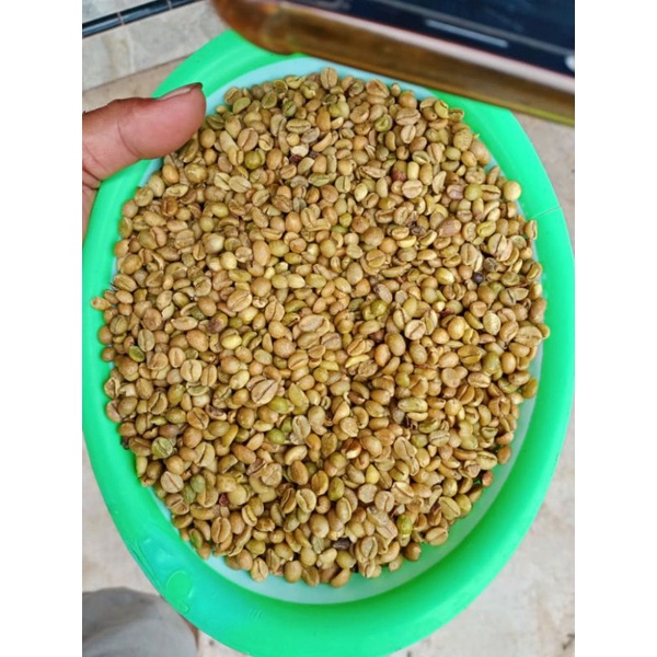 

biji kopi excelsa/liberika