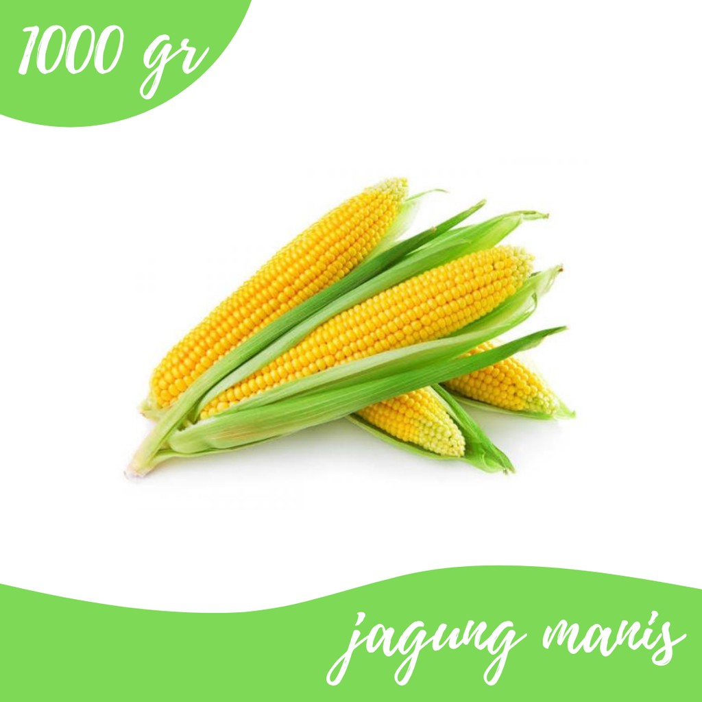 

Jagung 1000g Gudang Sayur Purwookerto