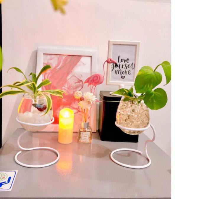 TERLARIS PAKET VAS AQUARIUM MINI HIASAN MEJA KAMAR DEKORASI RUMAH TANAMAN CUPANG STANDING TERRARIUM 