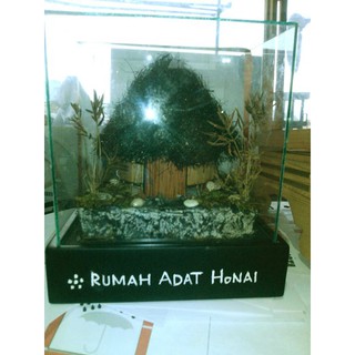 42 Koleksi Gambar Rumah Adat Irian HD