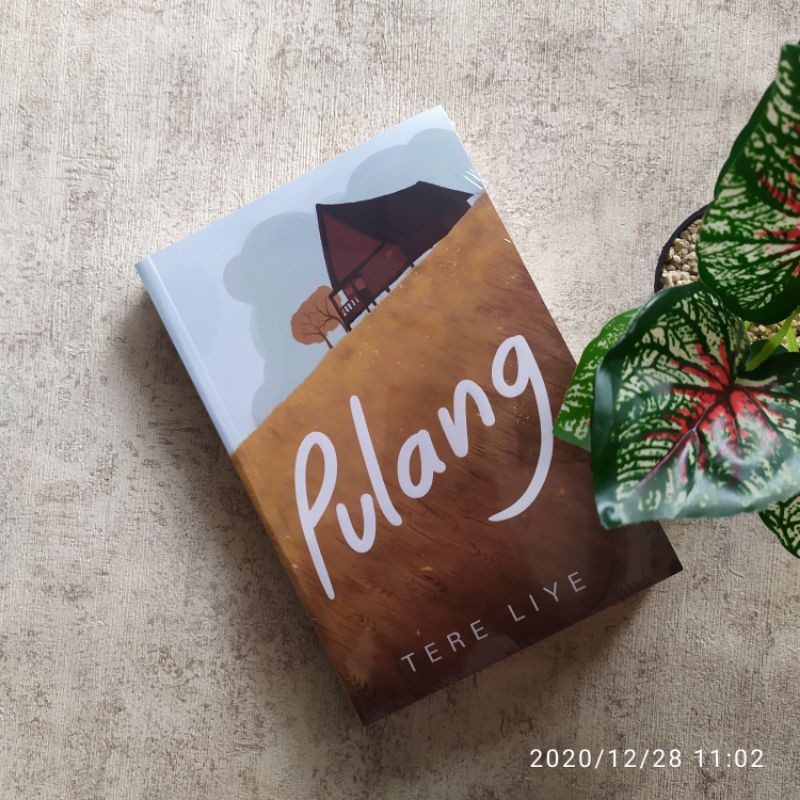 Pulang Tere Liye Tere Liye (ori)