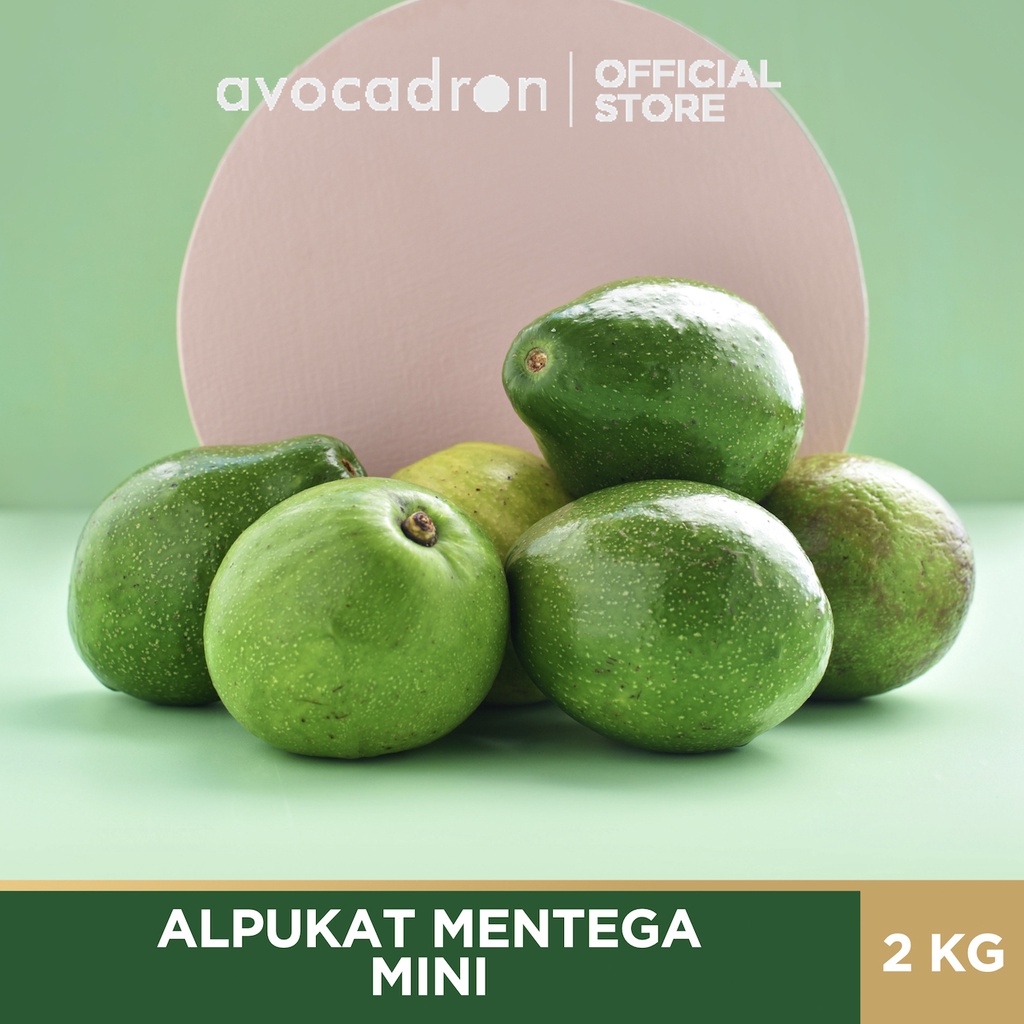 

Avocadron Alpukat Mentega Mini [Paket 2 Kg]
