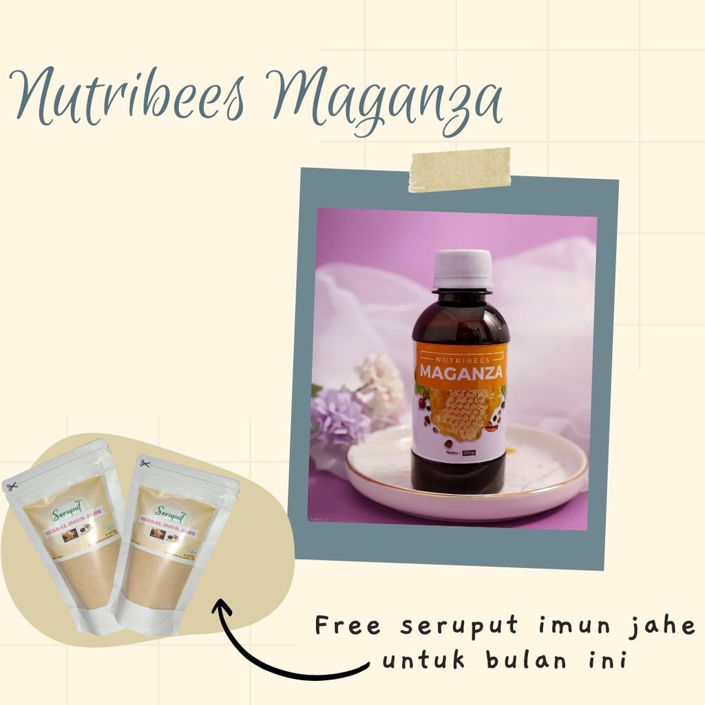 

Obat Asam Lambung, Madu Asli, Nutribees Maganza, madu untuk asam lambung gerd