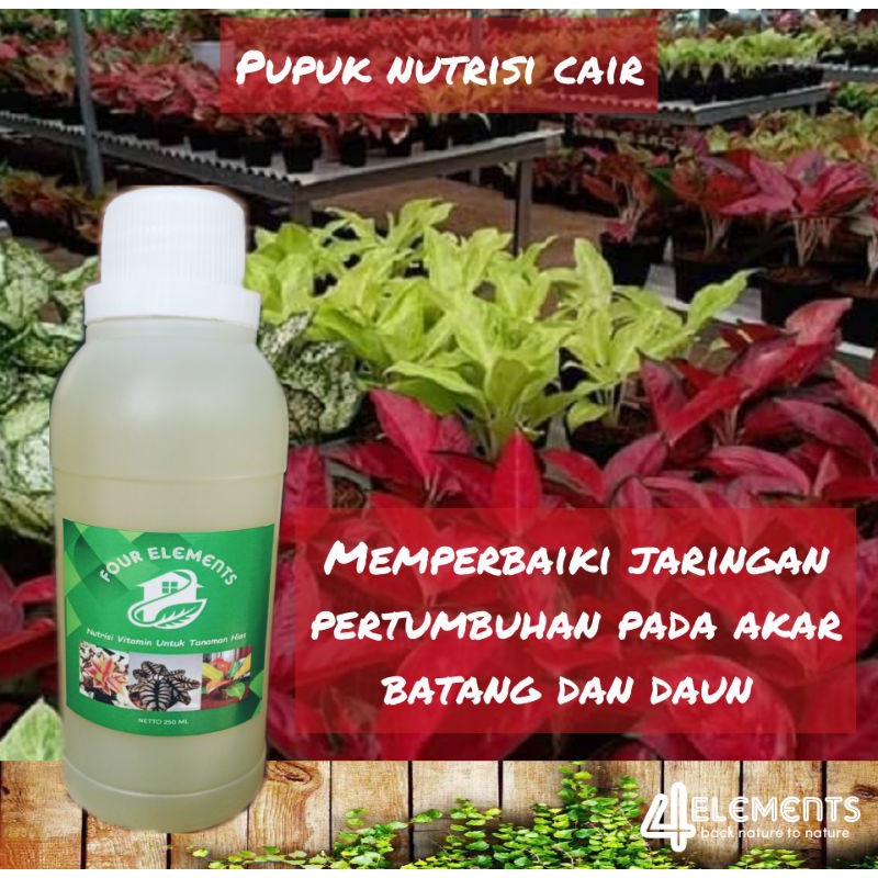 pupuk cair Vitamin nutrisi 250 ml untuk tanaman hias aglaonema aglonema alocasia philo adenium sanse
