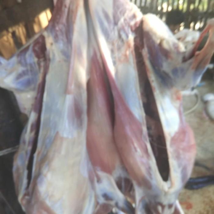 

Meat | Daging Kambing Karkas Kambing Muda Segar