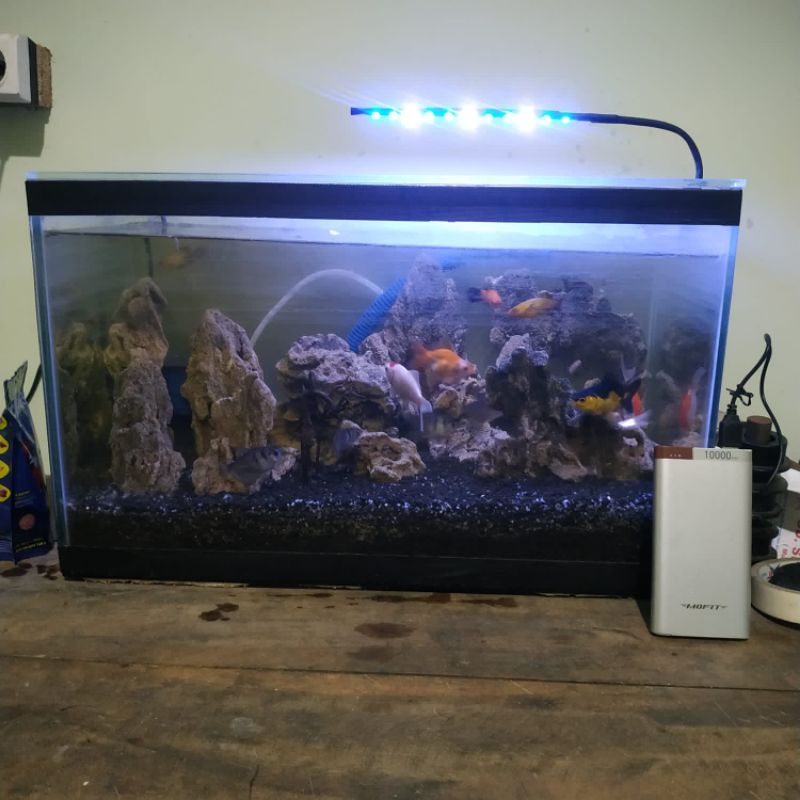 Lampu Led Aquarium Biru putih 11 Led B Lampu Aquascape biru lampu aquarium jepit lampu soliter lampu