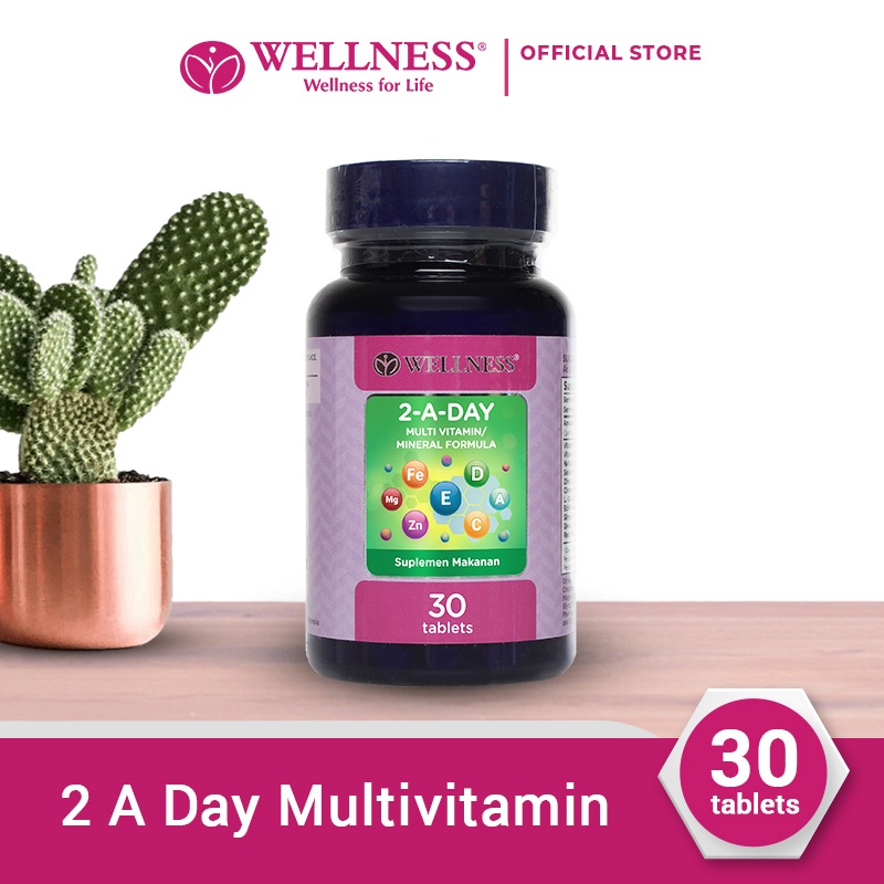 Wellness Multivitamin/Mineral 2-A-Day - 30 Tablets