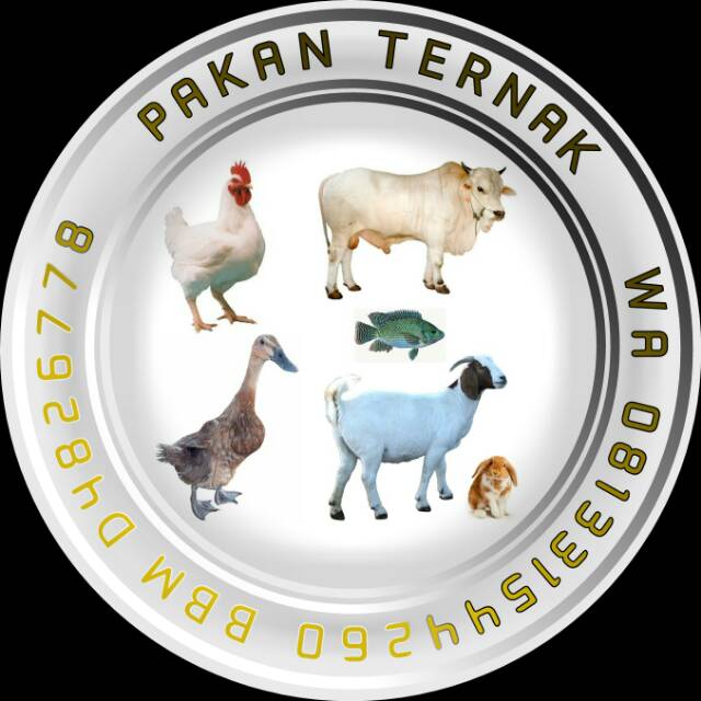 pakanikanmadiun