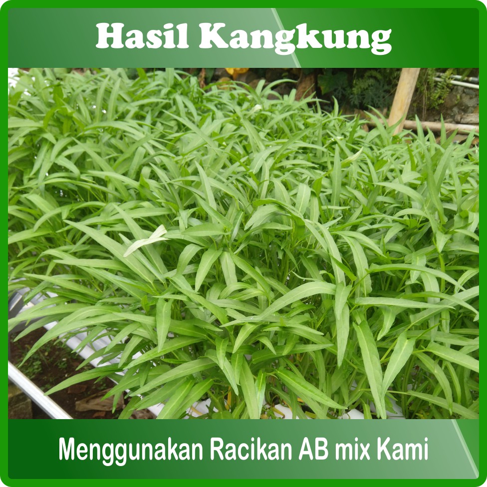 AB Mix 2 L Serbuk Pupuk Nutrisi Hidroponik Sayuran Daun 400 Liter