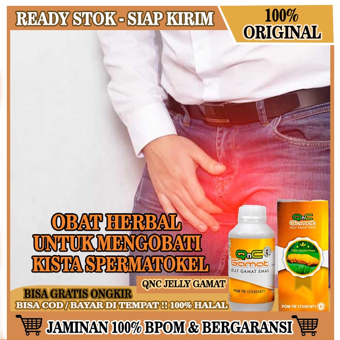 Obat Spermatokel Herbal, Obat Herbal Kista Epididimis, Kista Di Dekat Testis, Obat Kista Jinak Di Ep