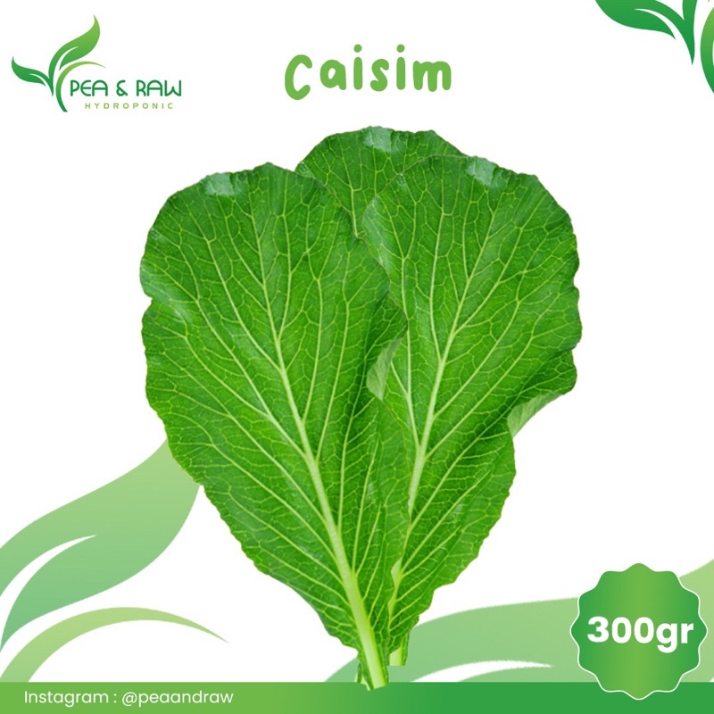 

Sayur Caisim Hidroponik 300gr