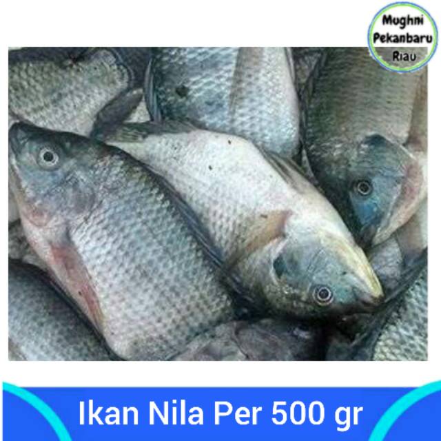 

Ikan Nila Per 1/2 Kg