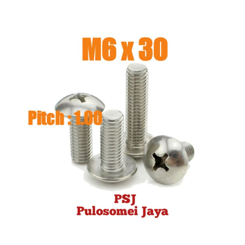 Baut JT Stainless M6 x 30 / Baut Payung SS M6 x 30 / JT SS M6 x 30