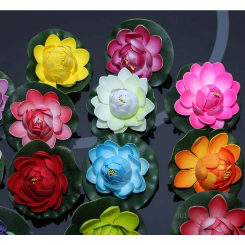 bunga teratai hias bunga kolam air bunga kolam ikan hiasan kolam air ikan hiasan aquarium akuarium l