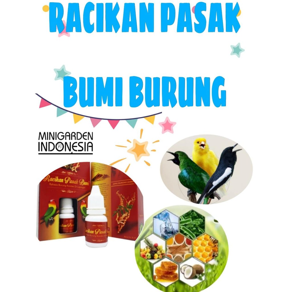 RACIKAN PASAK BUMI OBAT BURUNG GACOR anti macet konslet vitamin stamina power mental burung