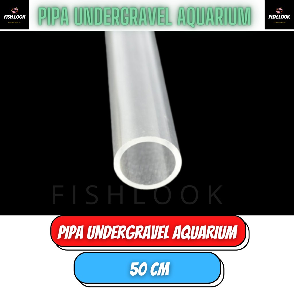 Pipa Bening Transparan Filtrasi Undergavel Filter aquarium 50 cm