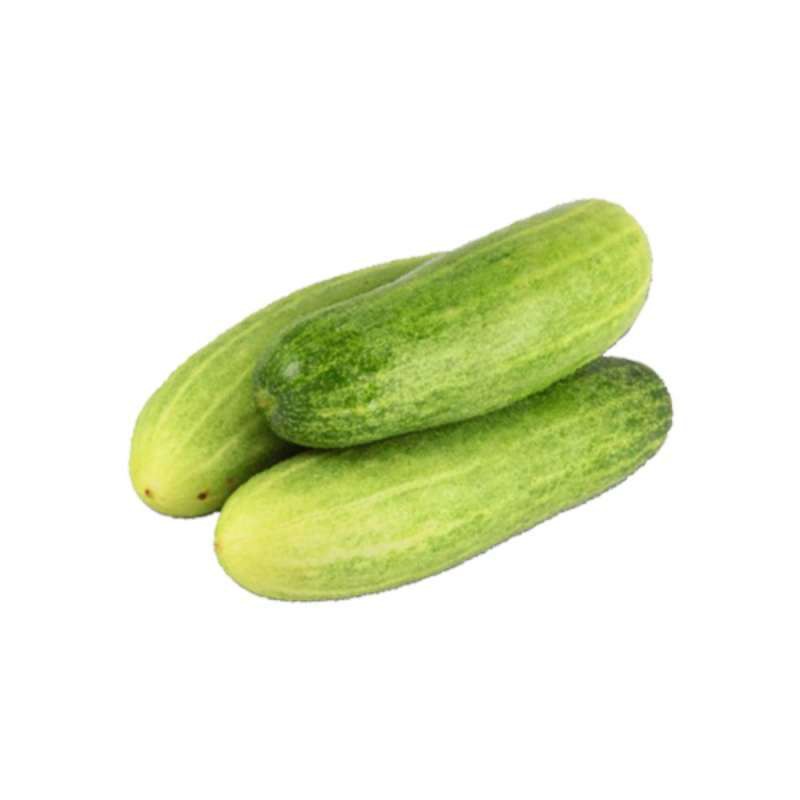 

Timun Lokal 1000 gr