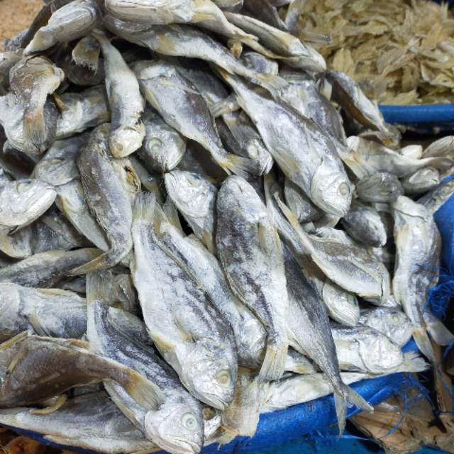 

Ikan asin kepala batu