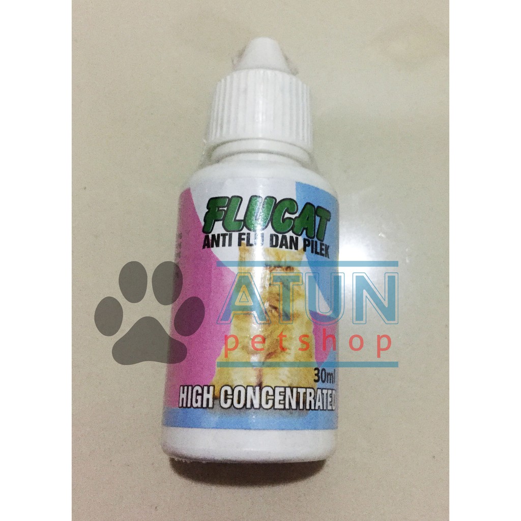 Kucing Flu Obat Alami