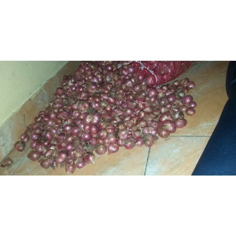 

bawang merah