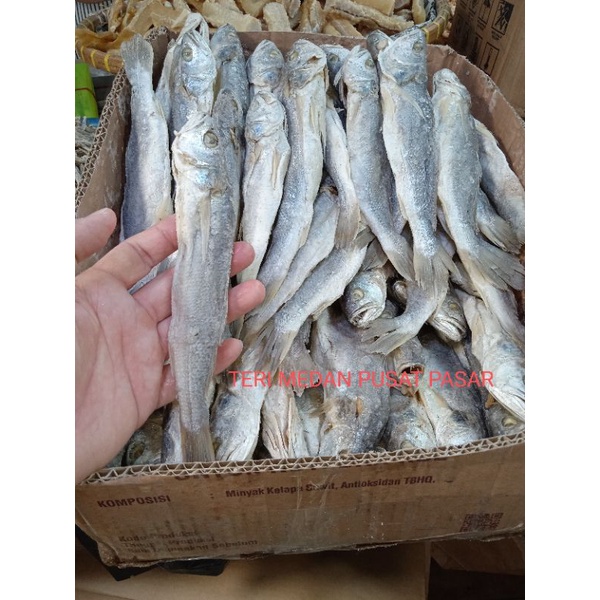 

Ikan Samge (500gram)