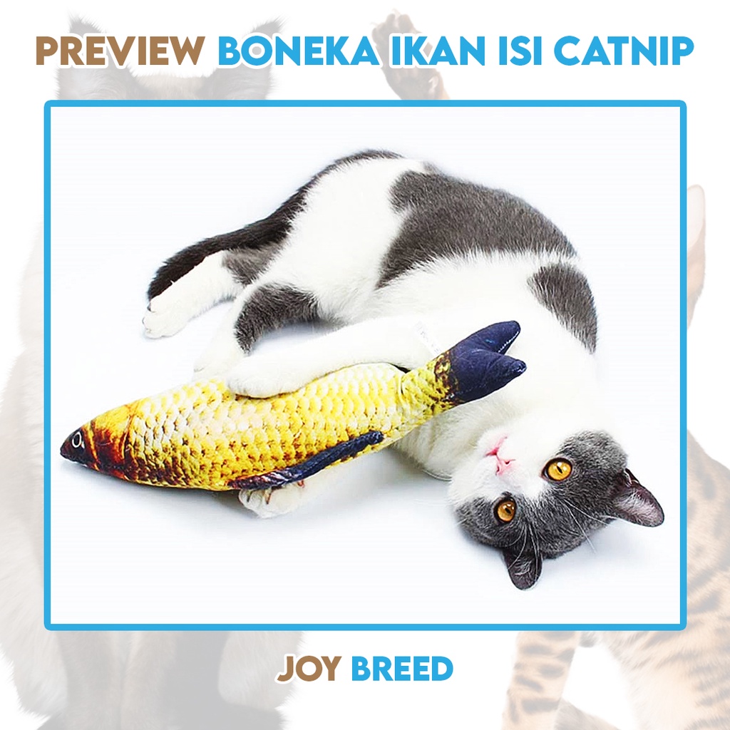 BONEKA IKAN ISI CATNIP KUCING MAINAN PENGHILANG STRESS KUCING MURAH | JOY BREED