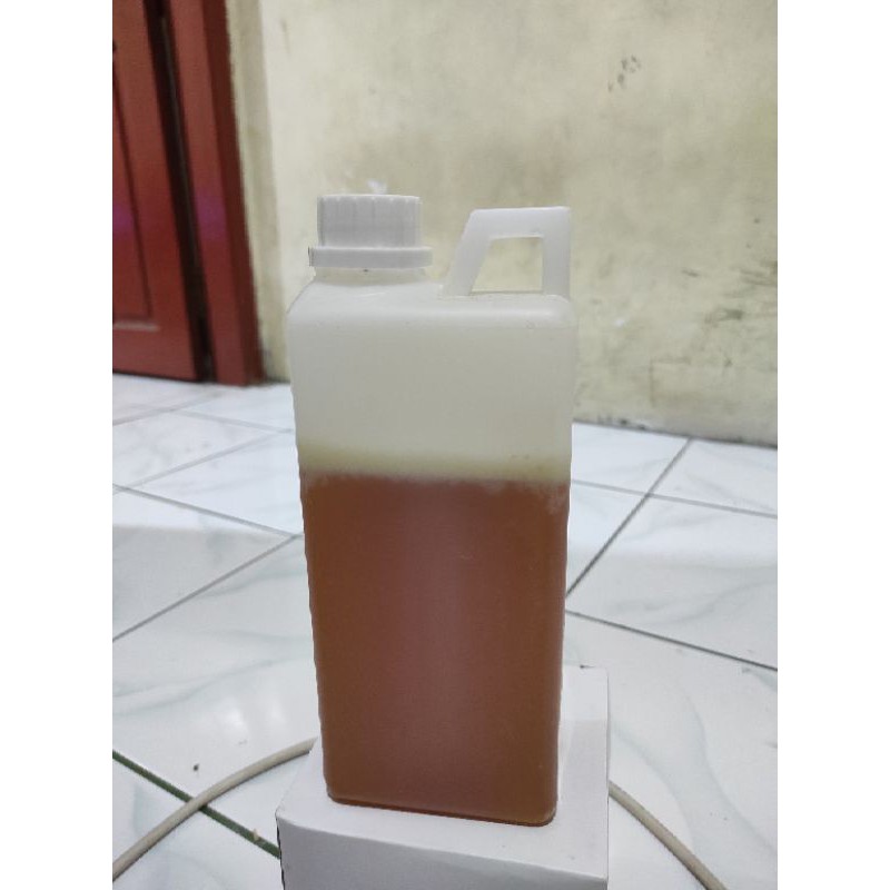 

madu lebah hutan sialang
