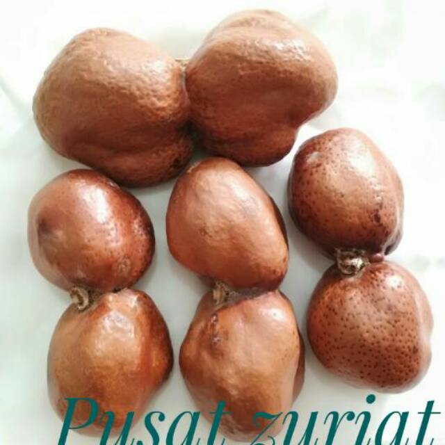 Zuriat kembar buat promil 500 gram  impor Mesir