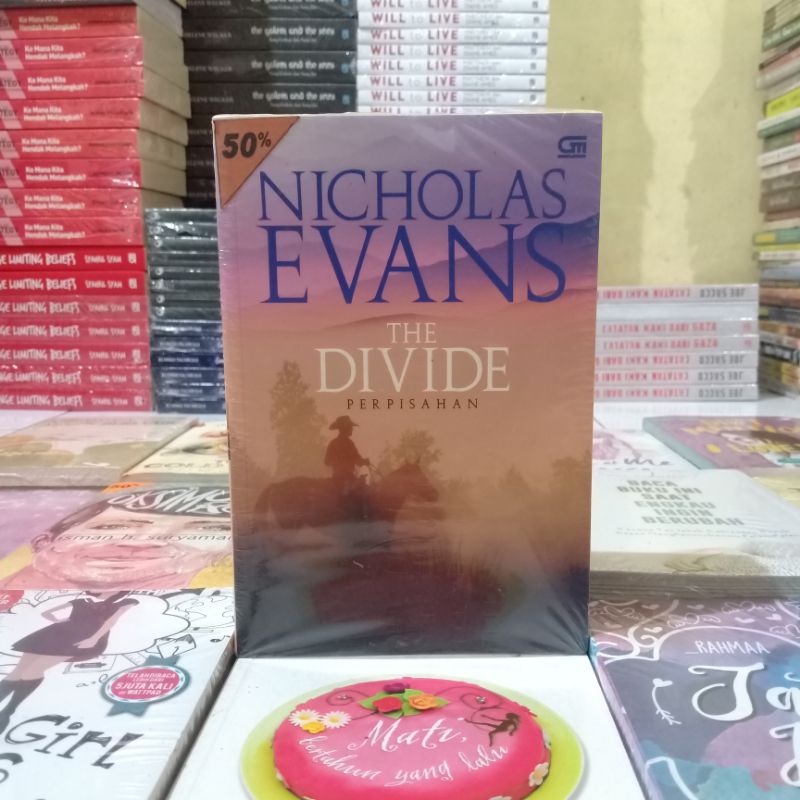 obral buku murah Novel best seller // remaja // wattpad // fantasi // sastra // fiksi // non fiksi // ilana Tan // Ally carter part 7-The divide