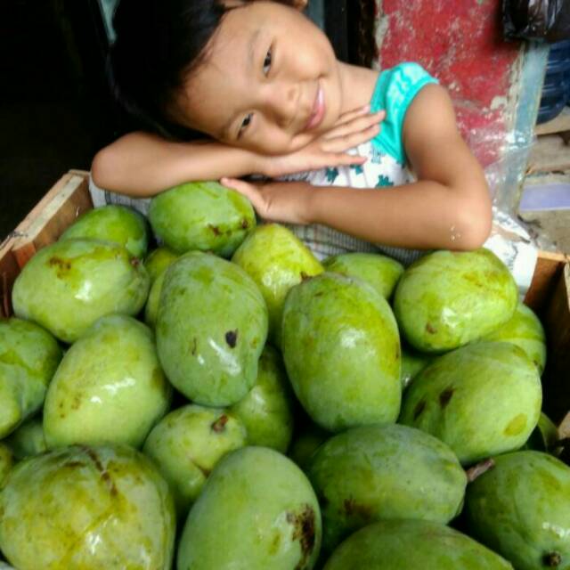 

Mangga indramayu matang#buah#vitamin c