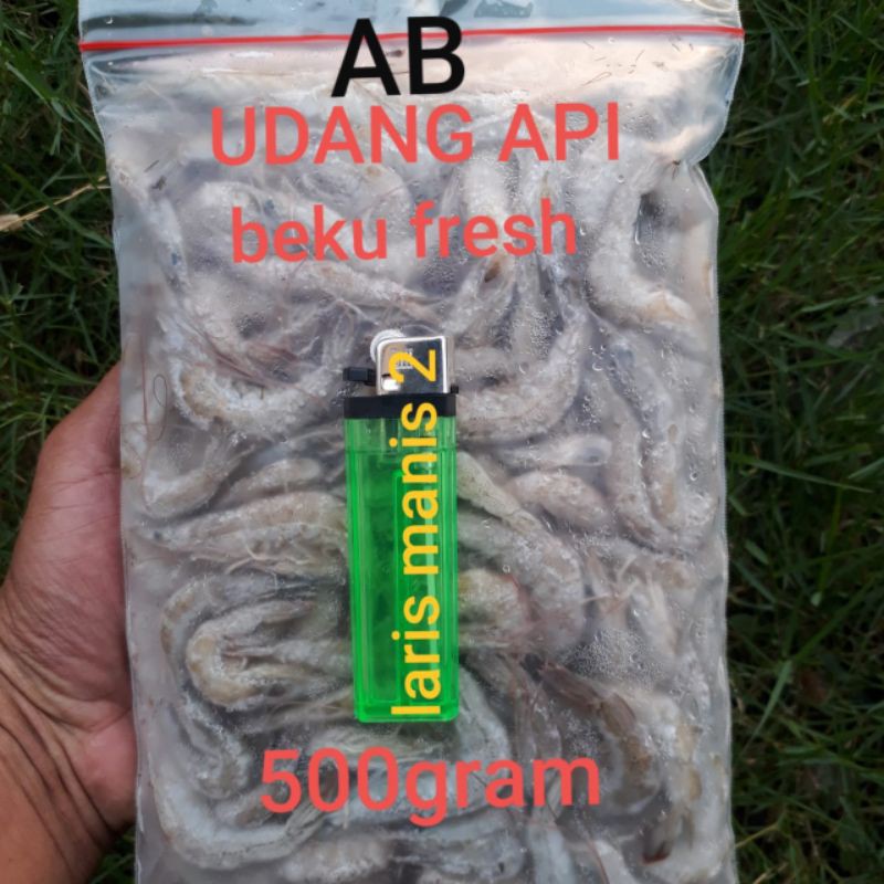 

Udang api beku fresh- Udang beku pakan ikan size besar