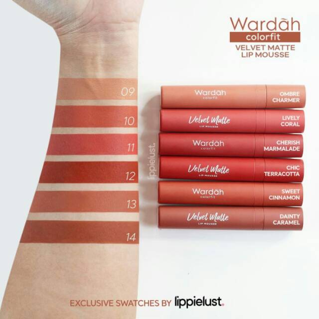 ❤️GROSIR❤️ WARDAH COLORFIT VELVET MATTE LIP MOUSSE / LIP CREAM LEMBUT