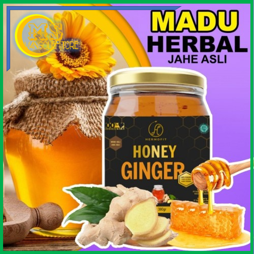 

Madujahe gula aren asli 700 gr ampuh untuk menurunkan gula darah imun penurun badan alami herbal A40