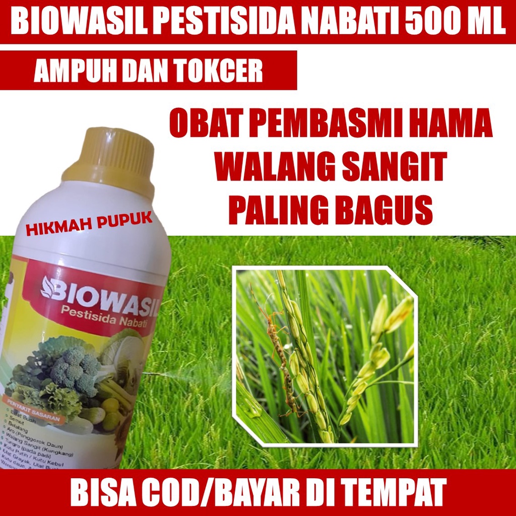 Obat Walang Sangit Paling Ampuh BIOWASIL PESTISIDA NABATI 500 ML - Obat Walang Sangit Pada Padi Tera
