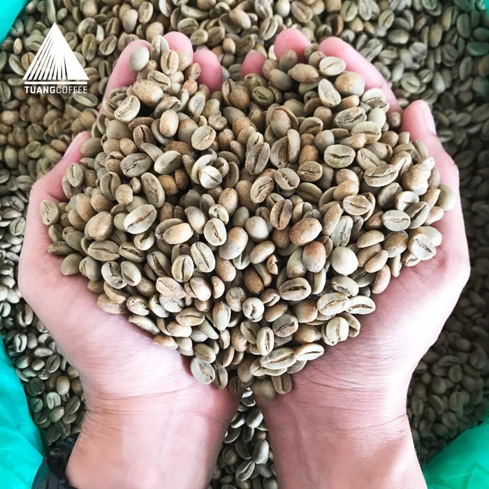 

Produk Eksklusif Specialty - Green Bean - Natural Arabica - Flores Manggarai - Kartika Diskon