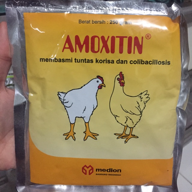 Amoxitin obat korisa dan colli 250gr