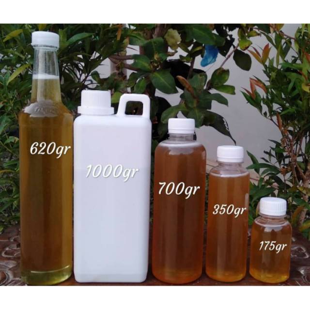 

Madu Randu/madu multiflora/madu murni