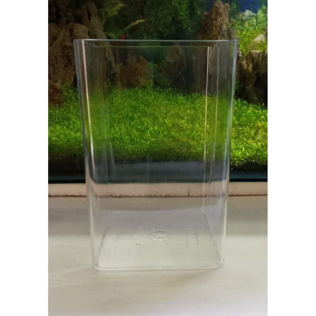 Aquarium cupang arkilik 10cmx10cmx15cm BONUS SKAT