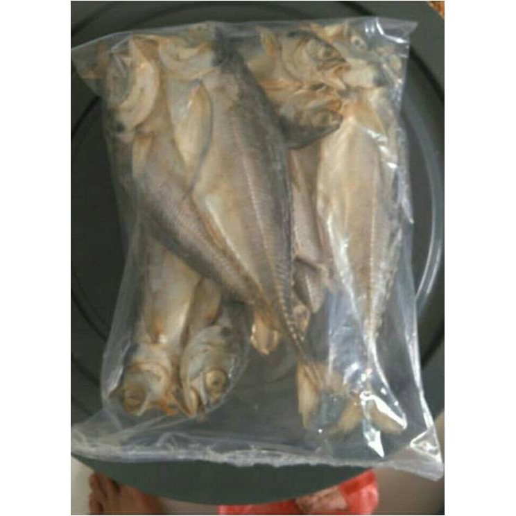 

Ikan Asin Cincaru / Tegang Ekor ( @ 1.000 Gr )
