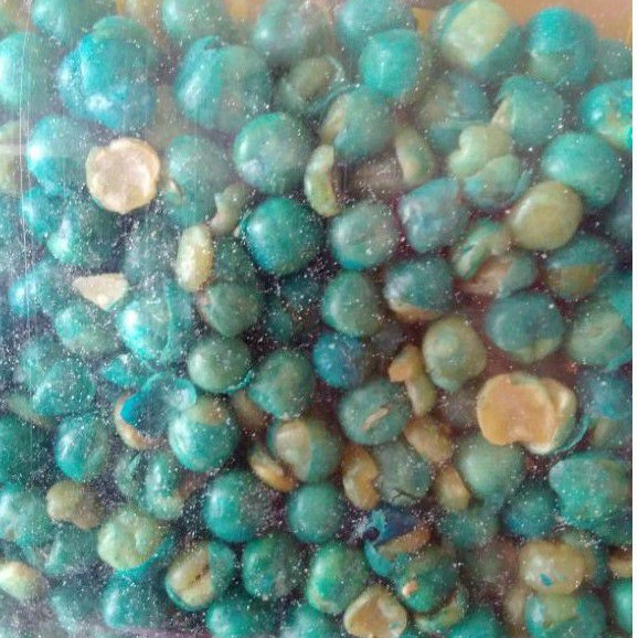 

Kacang polong ijo