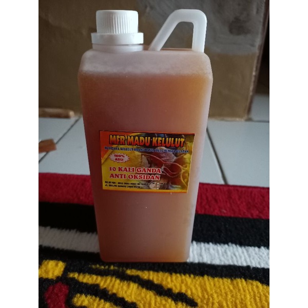 

Madu Kelulut Asli