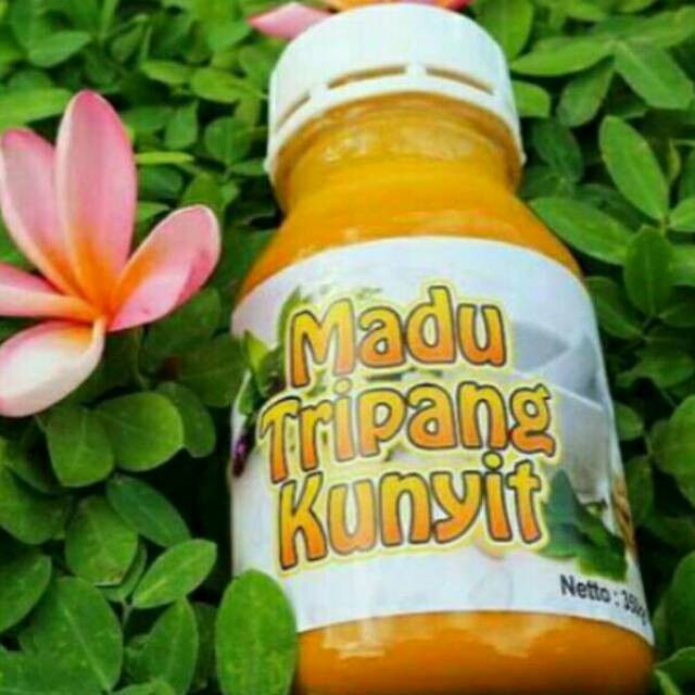 Madu Tripang Kunyit Original Mengatasi Magh Asam Lambung Daya Tahan Tubuh Indonesia