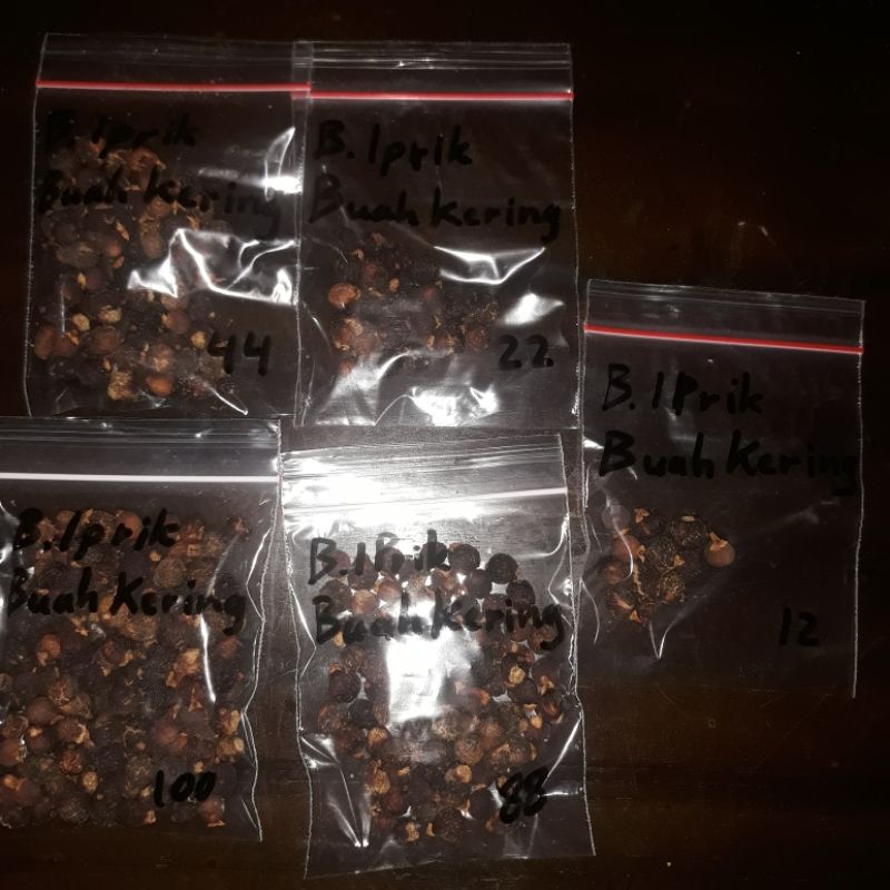 Buah_Biji_Benih_Beringin Iprik
