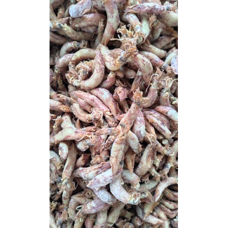 

Baby Cumi asin jumbo 500gram Singkawang