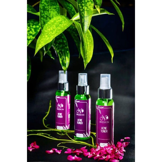Ns Skin Toner Acne 100ml