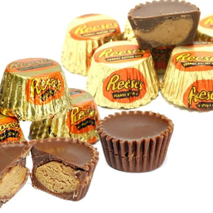 

REESE'S MINIATURE CUPS CHOCOLATE PEANUT BUTTER 297 GR REESES REESE