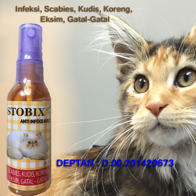 Stobix Spray Anti Infeksi Jamur Scabies Pada Kucing Dan Kitten