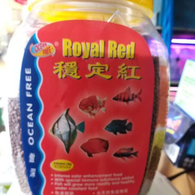 

Makanan ikan Royal red