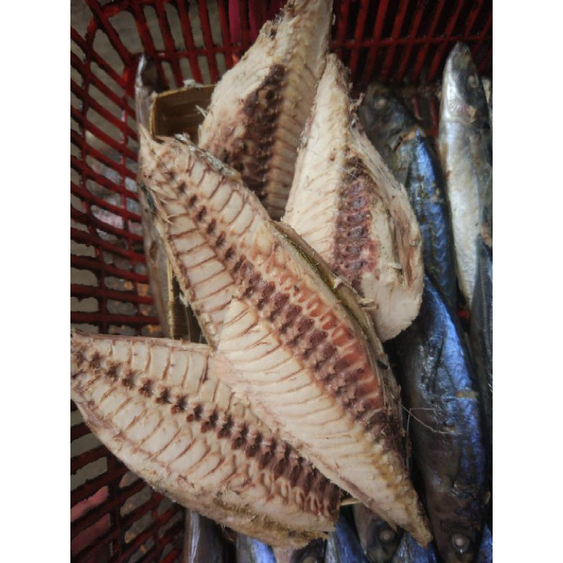 

Ikan Tongkol Potong